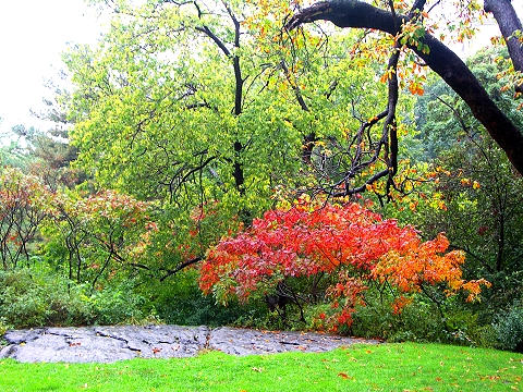 Strawberry Fields Nyc