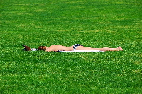 NY Some Like It Hot Sunbathers In Central Park I Photo New York